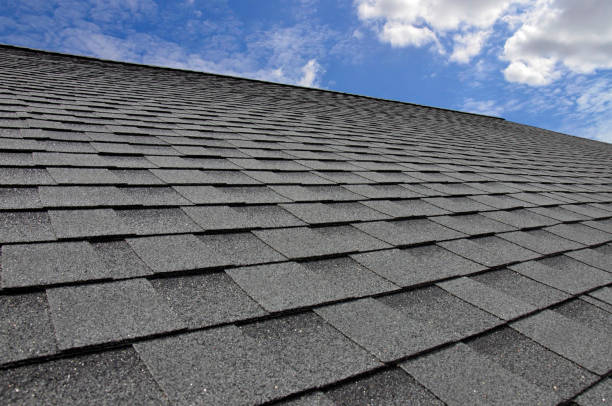 Professional Roofing service in Fort Morgan, CO