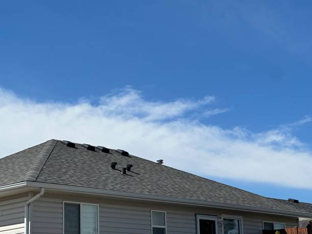 Best Steel Roofing  in Fort Morgan, CO